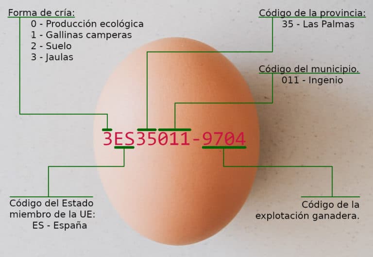 Foto de etiquetado de huevos